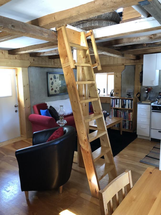 Bed and Breakfast Vines And Puppies Hideaway Jade City Экстерьер фото
